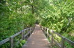 Old Point Mangrove Regional Park