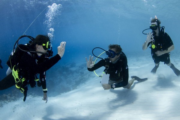 Buceo Instructor Assistant