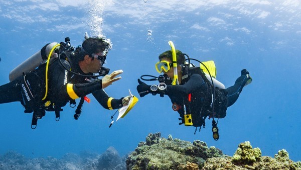 Curso de certificación recreativo