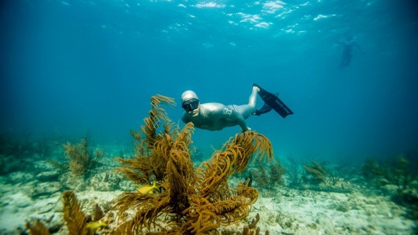 Buceo especialidad free diver