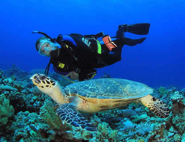 Buceo