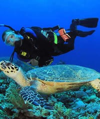 Buceo