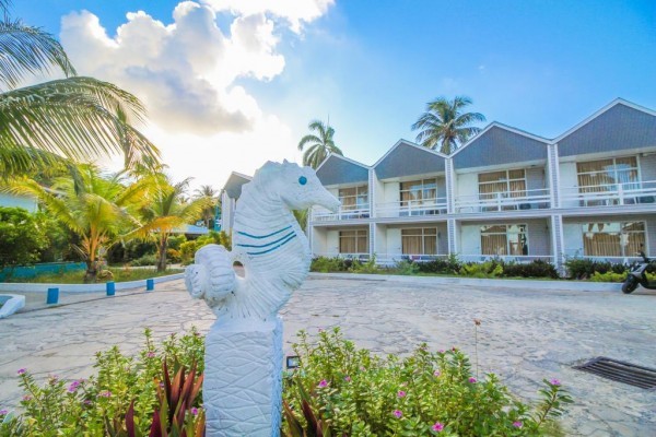 On Vacation Sea Horse All inclusive