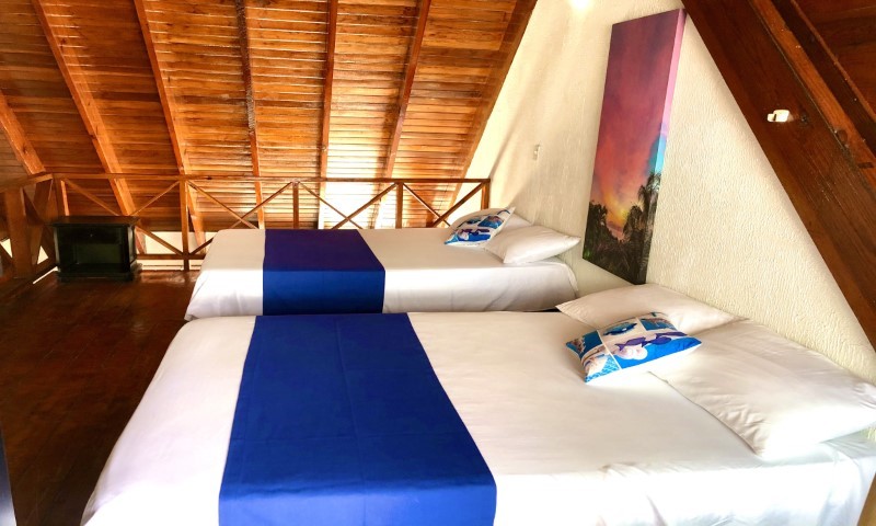 Galería